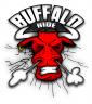 Avatar von Buffalo Ride